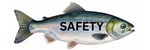 Safety Page